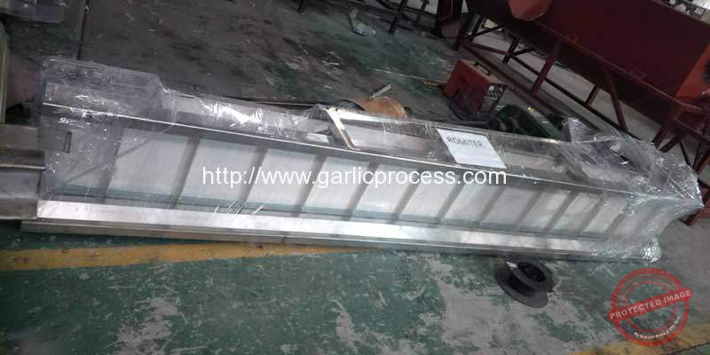 Automatic-Garlic-Clove-Breaking-and-Peeling-Machine-for-Spain-Market